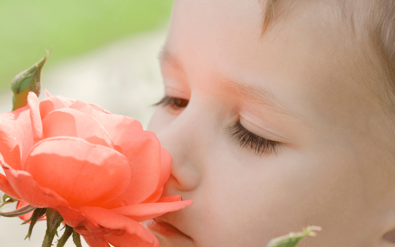 花の匂いを嗅ぐ子